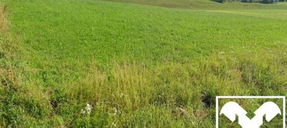 Grundstück in Straßwalchen, Austria, Nr. 217727 2