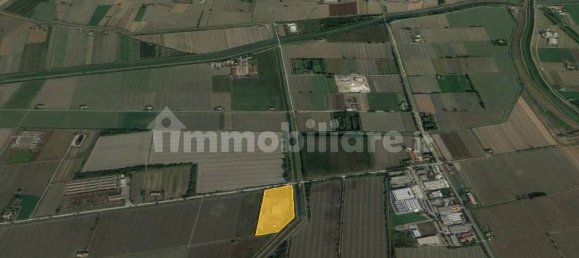 5 rooms Warehouse in Gualtieri, Italy No. 88342 8