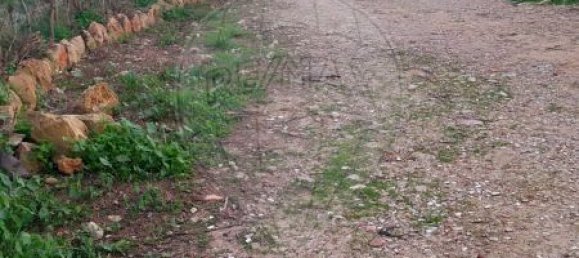 5 bedrooms House in Almancil, Portugal No. 172611 3