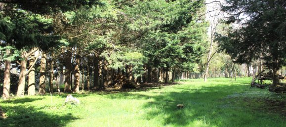 Casa de 3 dormitorios en Urzy, France No. 43370 19