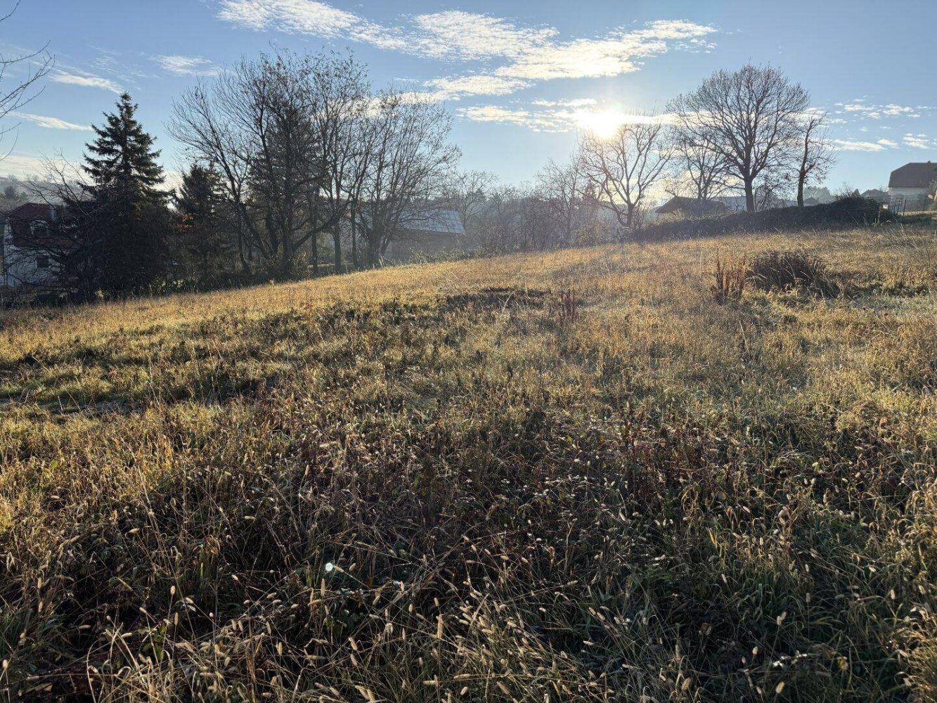 Terrain à Wiesen, Austria 1300m² No. 45879