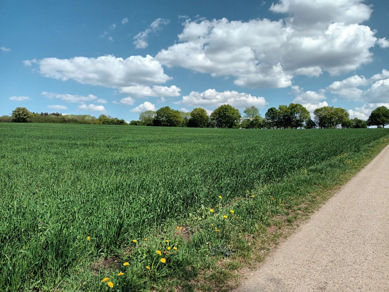 Grundstück in Treuchtlingen, Germany, Nr. 14390