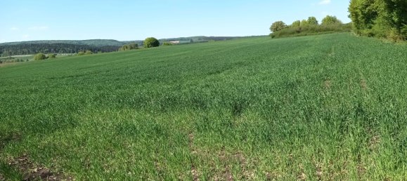 Grundstück in Treuchtlingen, Germany, Nr. 14390 5