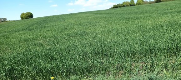 Grundstück in Treuchtlingen, Germany, Nr. 14390 3