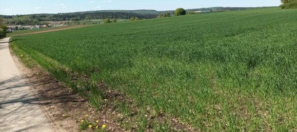 Grundstück in Treuchtlingen, Germany, Nr. 14390 6