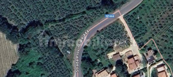 Villa de 8 dormitorios en Montefalco, Italy No. 270977 24