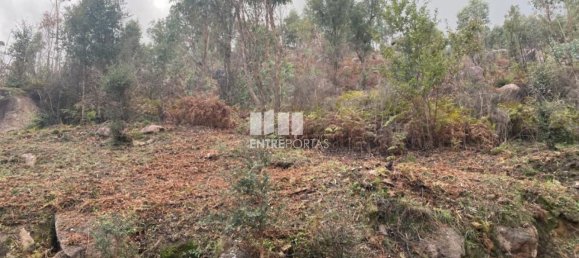 10124m² Land in Marco de Canaveses, Portugal No. 51809 24