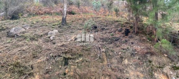 10124m² Land in Marco de Canaveses, Portugal No. 51809 5