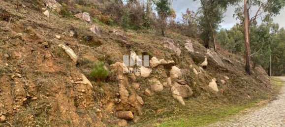 10124m² Land in Marco de Canaveses, Portugal No. 51809 18