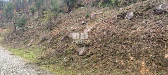 10124m² Land in Marco de Canaveses, Portugal No. 51809 22