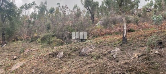 10124m² Land in Marco de Canaveses, Portugal No. 51809 6