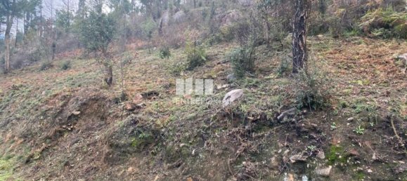 10124m² Land in Marco de Canaveses, Portugal No. 51809 8