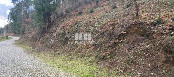 10124m² Land in Marco de Canaveses, Portugal No. 51809 7