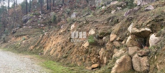 10124m² Land in Marco de Canaveses, Portugal No. 51809 21