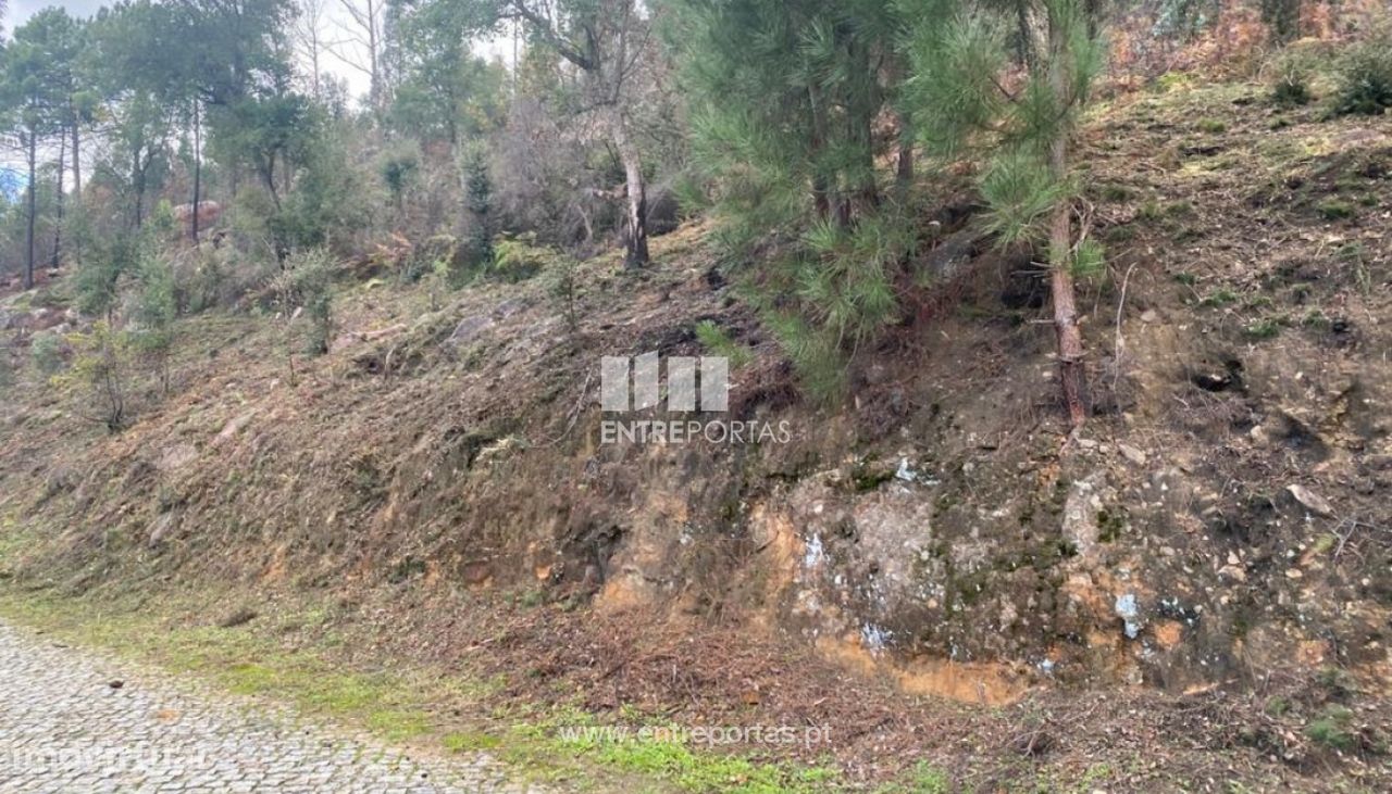 10124m² Land in Marco de Canaveses, Portugal No. 51809