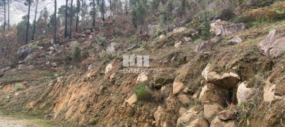 10124m² Land in Marco de Canaveses, Portugal No. 51809 20