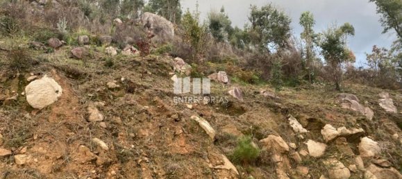 10124m² Land in Marco de Canaveses, Portugal No. 51809 16