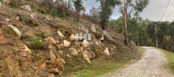 10124m² Land in Marco de Canaveses, Portugal No. 51809 15