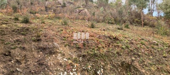 10124m² Land in Marco de Canaveses, Portugal No. 51809 2