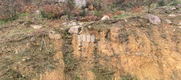 10124m² Land in Marco de Canaveses, Portugal No. 51809 12