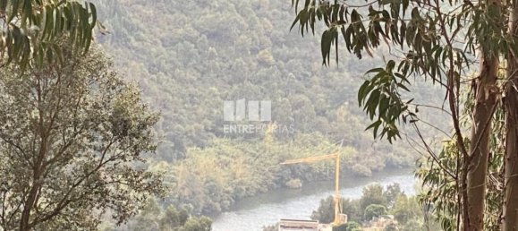 10124m² Land in Marco de Canaveses, Portugal No. 51809 11