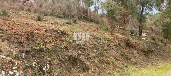 10124m² Land in Marco de Canaveses, Portugal No. 51809 4