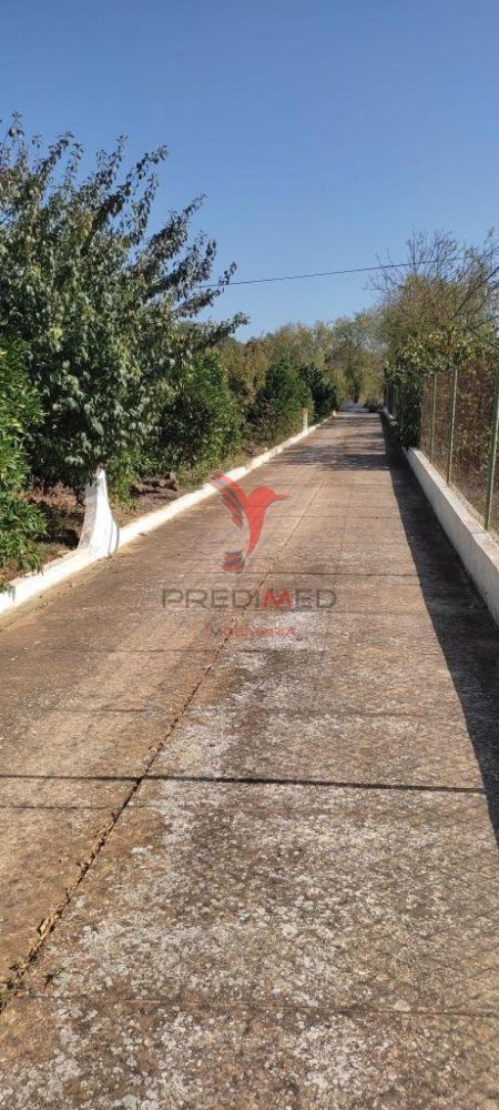  قطعة أرض في Faro, Portugal رقم 9198