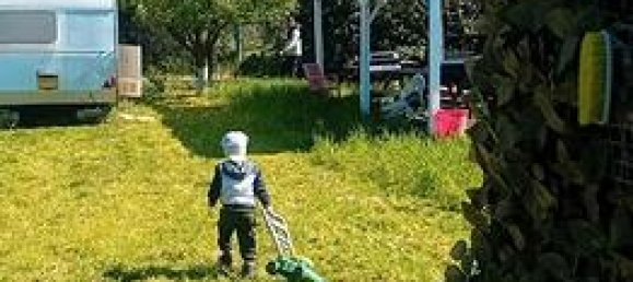 1550m² Land in Grosseto, Italy No. 272156 6