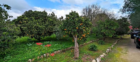Casa T9 em Olhão, Portugal N.º 74741 10