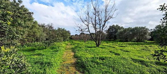 Casa T9 em Olhão, Portugal N.º 74741 8