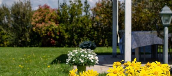 3 rooms House in Montalto di Castro, Italy No. 80558 12