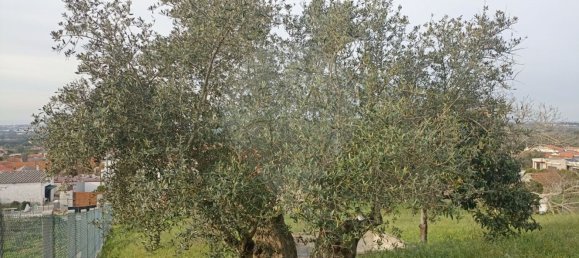 2640m² Land in Palmela, Portugal No. 59917 10