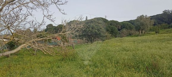 2640m² Land in Palmela, Portugal No. 59917 3