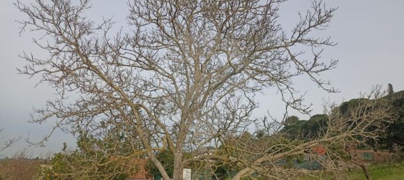 2640m² Land in Palmela, Portugal No. 59917 2