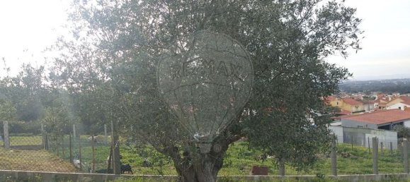 2640m² Land in Palmela, Portugal No. 59917 9