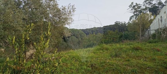2640m² Land in Palmela, Portugal No. 59917 6