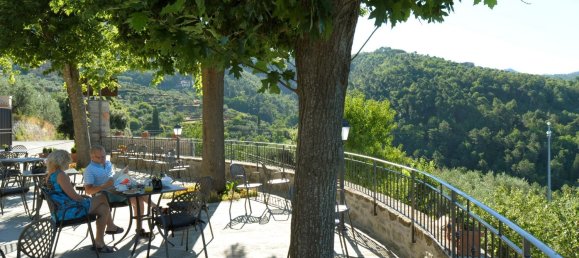 15 rooms Villa in Reggello, Italy No. 60905 12