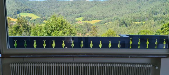 6 chambres Maison à Freudenstadt, Germany No. 222656 15