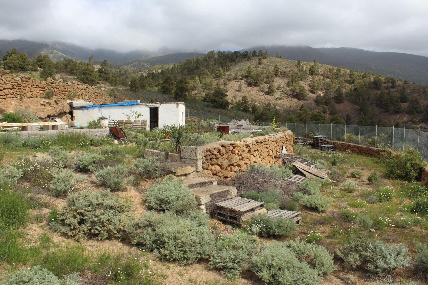 1 غرف نوم منزل في Arico, Spain رقم 235222