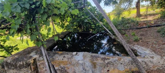 1-Zimmer Grundstück in Termini Imerese, Italy, Nr. 375775 17