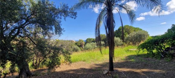 1-Zimmer Grundstück in Termini Imerese, Italy, Nr. 375775 12