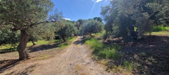 1-Zimmer Grundstück in Termini Imerese, Italy, Nr. 375775 29