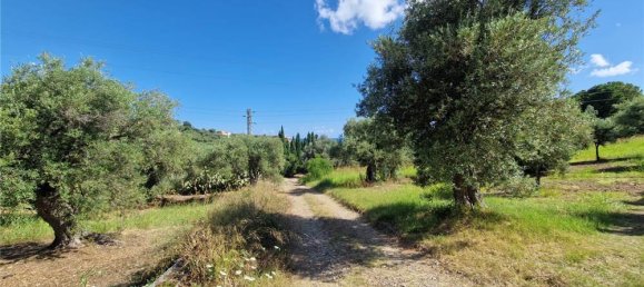 1-Zimmer Grundstück in Termini Imerese, Italy, Nr. 375775 27