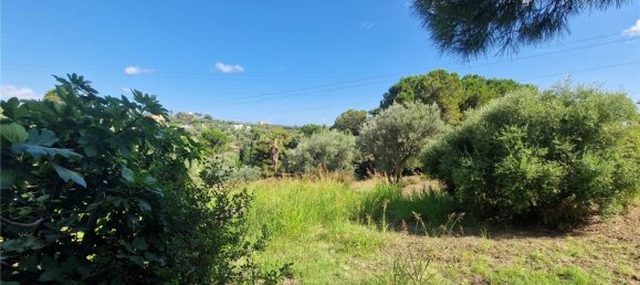 1-Zimmer Grundstück in Termini Imerese, Italy, Nr. 375775 11