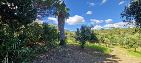 1-Zimmer Grundstück in Termini Imerese, Italy, Nr. 375775 21