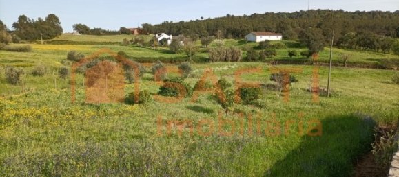 6 bedrooms House in Alcanede, Portugal No. 146402 10