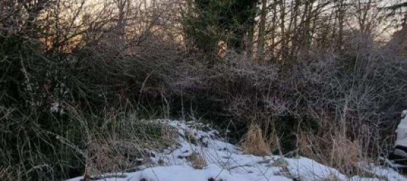  قطعة أرض في Korschenbroich, Germany رقم 113978 7