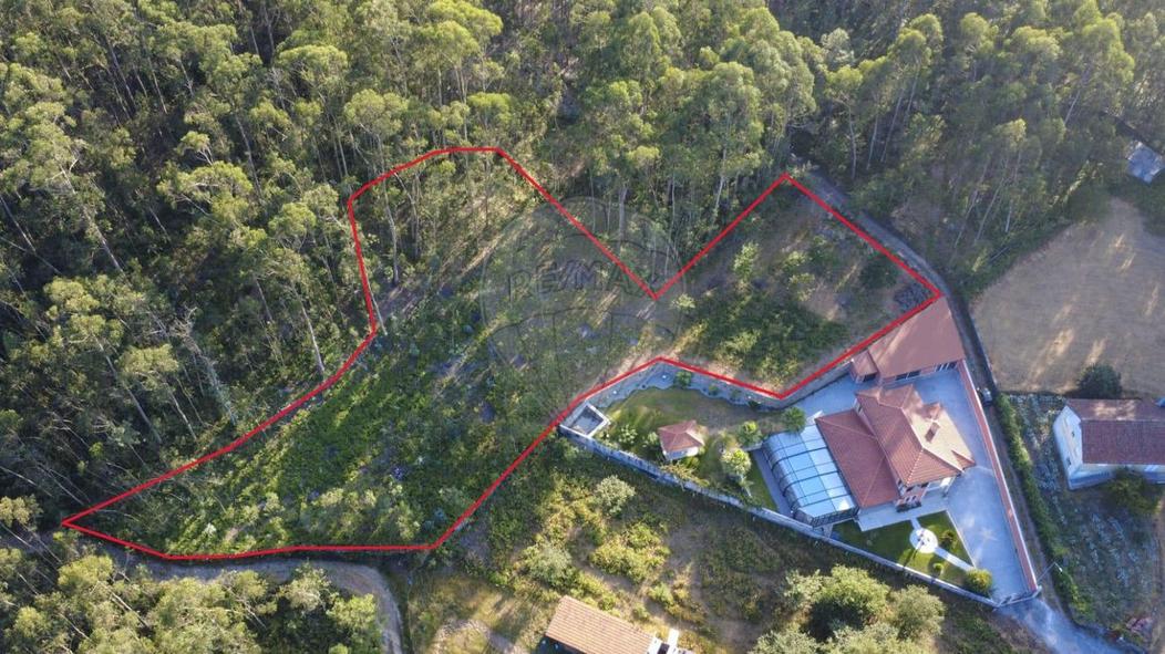  Land in Ribeira, Portugal No. 256769