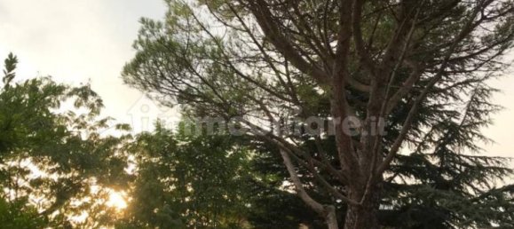 3 غرف نوم فيلا في Fabriano, Italy رقم 225668 36