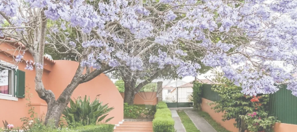 5 bedrooms Villa in Sintra, Portugal No. 50761 42